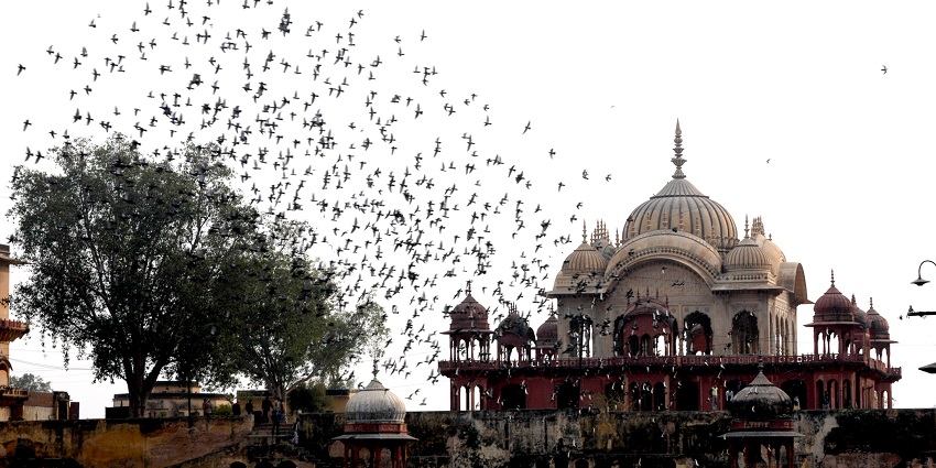 The elegant cenotaph of Moosi Maharani, a blend of Rajput and Mughal architecture near Neemrana.