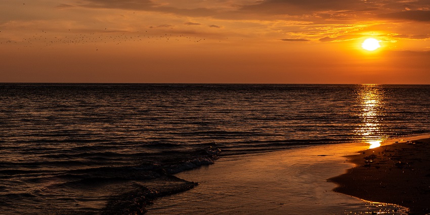 A picture taken at a beach during the time of sunset, creating a cosy ambience