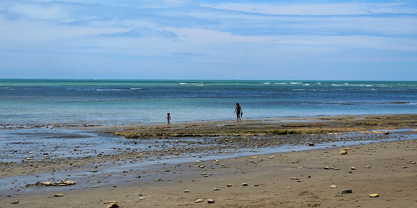 Explore nature at its best at Morjim Beach which is ideal for witnessing turtles.