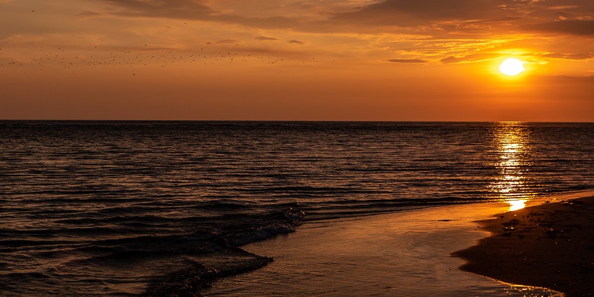 Morjim Beach is one of the most beautiful places to visit in Goa with family for fun.