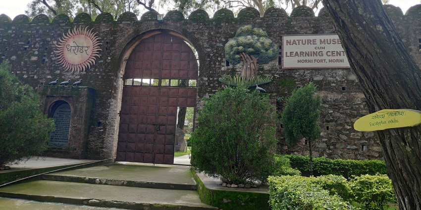 Morni Fort has many figures of wildlife, domes, caves and other 3D artwork.