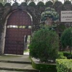 A breathtaking view of the morni fort entrance surrounded by lush greenery during the day.