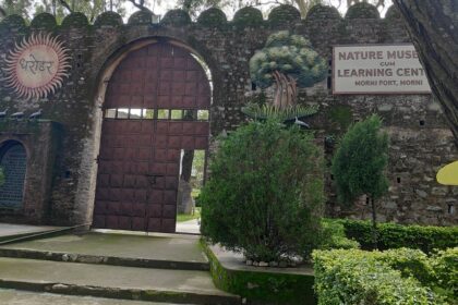 A breathtaking view of the morni fort entrance surrounded by lush greenery during the day.