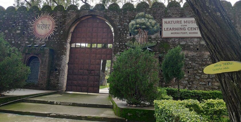 A breathtaking view of the morni fort entrance surrounded by lush greenery during the day.