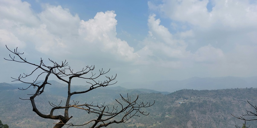 Beautiful view of a dead tree in middle of the Morni Hills under clear blue sky