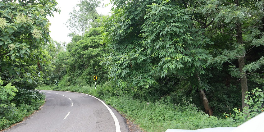 Morni Hills with lush greenery, tranquil lakes, and nature for travellers to explore.