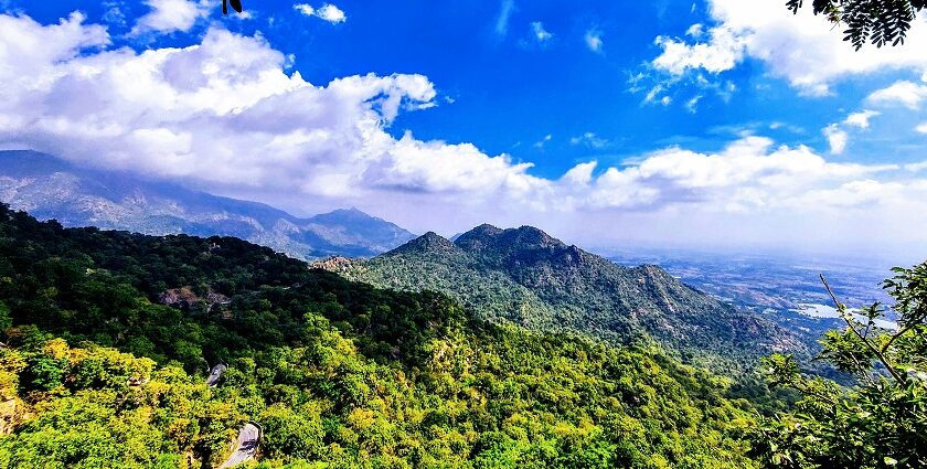 A scenic view of a mountain in Mount Abu, featuring rocky terrain and green vegetation.