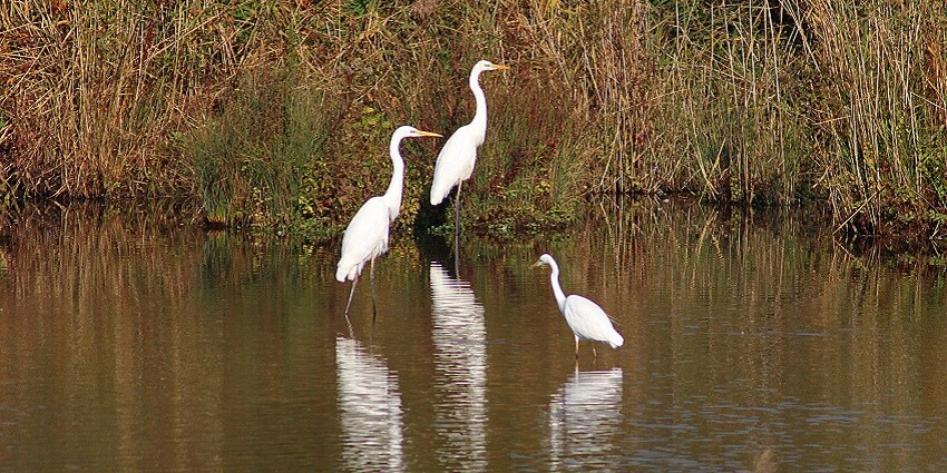 The famous places to visit in Abu Road include Mount Abu Wildlife Sanctuary.