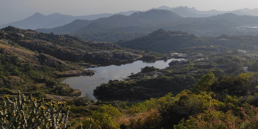The lush green surroundings of Mount Abu Wildlife Sanctuary, providing a rich biodiversity.