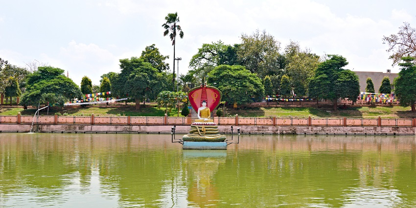 An image of serene Muchalinda Lake also known as Lotus Pond located in Bihar, India.