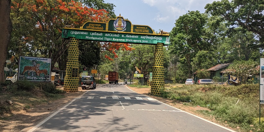 Mudumalai Tiger Reserve is located in the Nilgiris District of Tamil Nadu