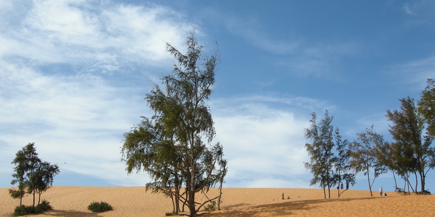 Image of Mui Ne sand dues near the beach a coastal fishing town inv Vietnam