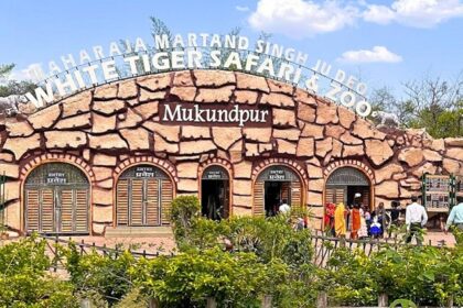 Picture of entrance to the White Tiger Safari and Mukundpur Zoo with visitors rushing inside