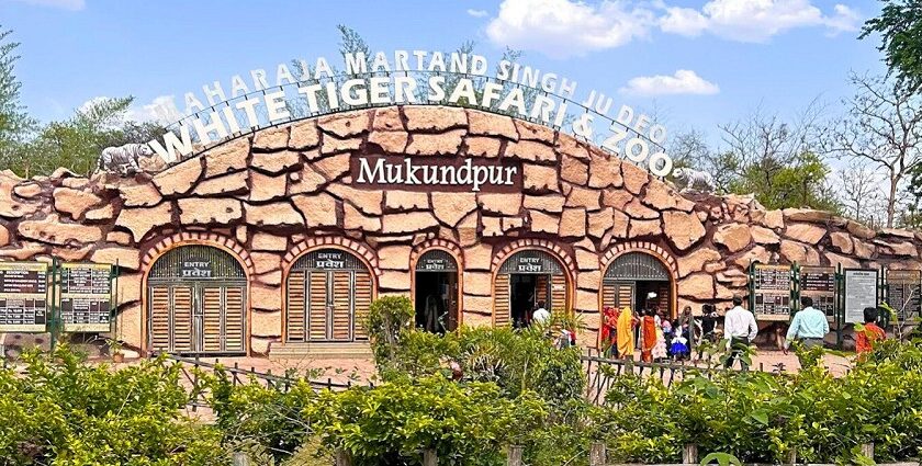 Picture of entrance to the White Tiger Safari and Mukundpur Zoo with visitors rushing inside