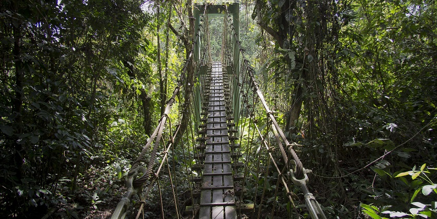 Gunung Mulu National Park’s karst formations, are perfect for night safari in Malaysia.