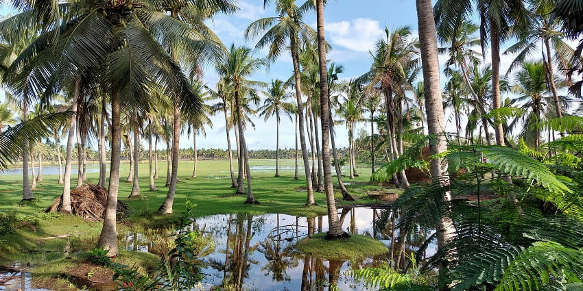 Mummidivaram is one of the top places to visit near Annavaram for a perfect day out.