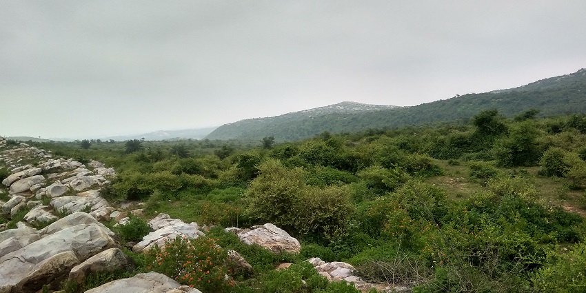 Witness the lush green landscapes of Munger, one of the hill stations near Patna, Bihar.