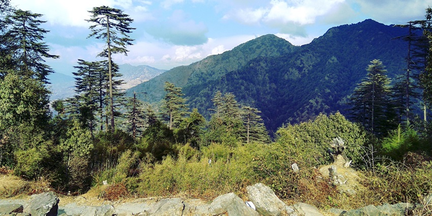A stunning view of a lush green mountain in Mussoorie, under a clear morning sky