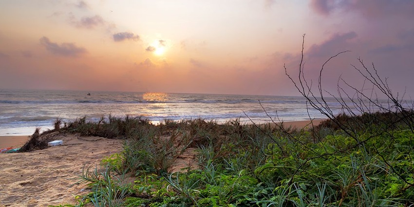 Mypadu, a blend of coastline and scenic views, is one of the best beaches near Tirupati.