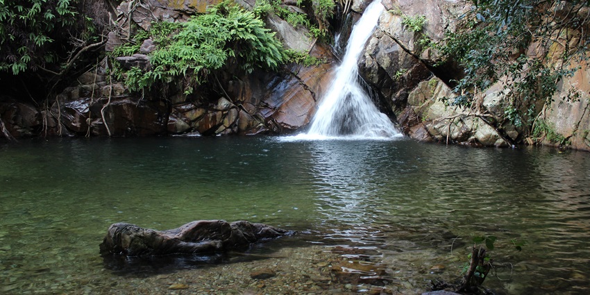 Witness the beautiful Nagalapuram Waterfalls - one of the places to visit near Tirupati.