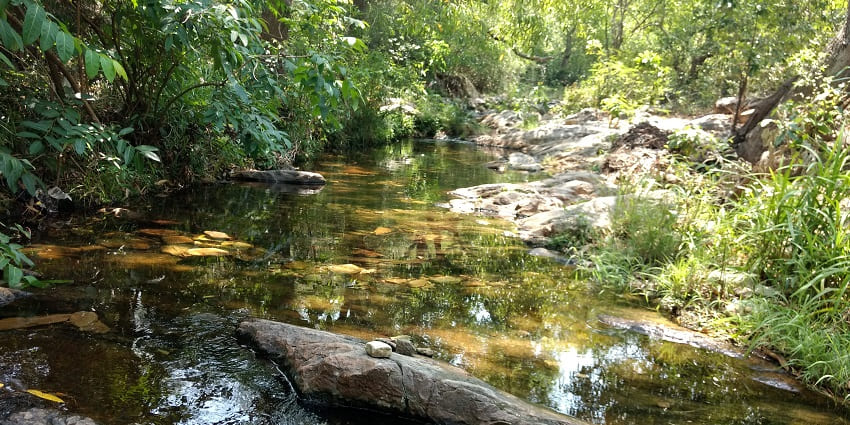 A serene waterfall flowing gently over moss-covered rocks, nestled in a tranquil forests