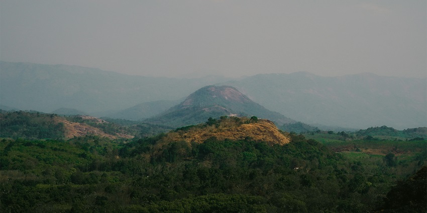 Dense forest at the Nagalapuram Hills, one of the places to visit near Srikalahasti