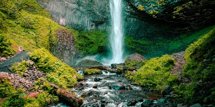 Image of Nagalapuram Waterfalls in a dense forest surrounded by lush greenery cascading through rocks