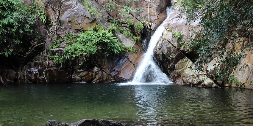 A stunning view of Nagalapuram waterfall cascading down - things to do in Tirupati.