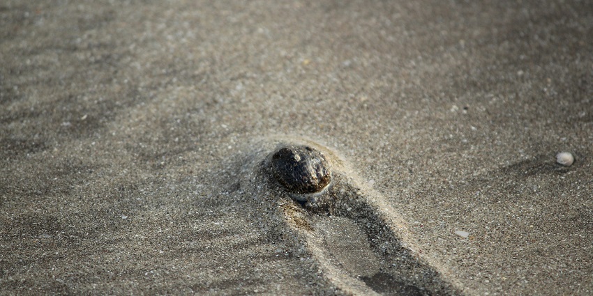 Nagaon Beach, Alibaug, a tourist places offering soft sands, clear waters, relaxation.