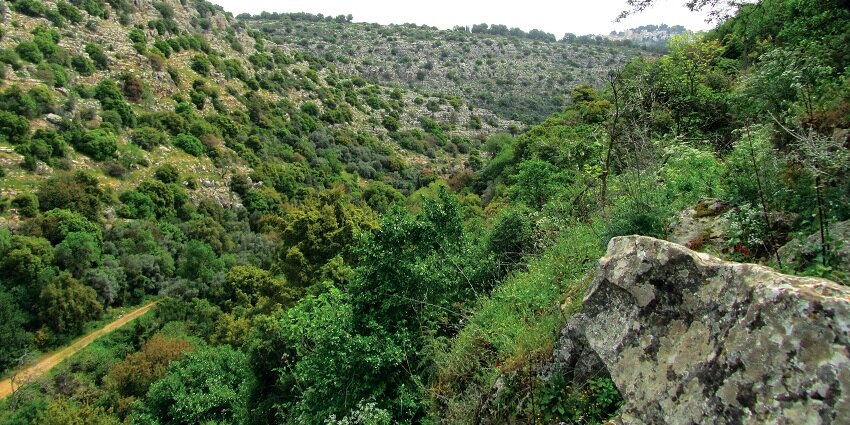 Explore the Nagari Hills which is one of the places to visit near Tirupati within 100 kms.