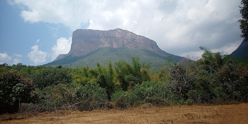 View of forested Nagriri hills, a place with an ideal blend of adventure and beauty