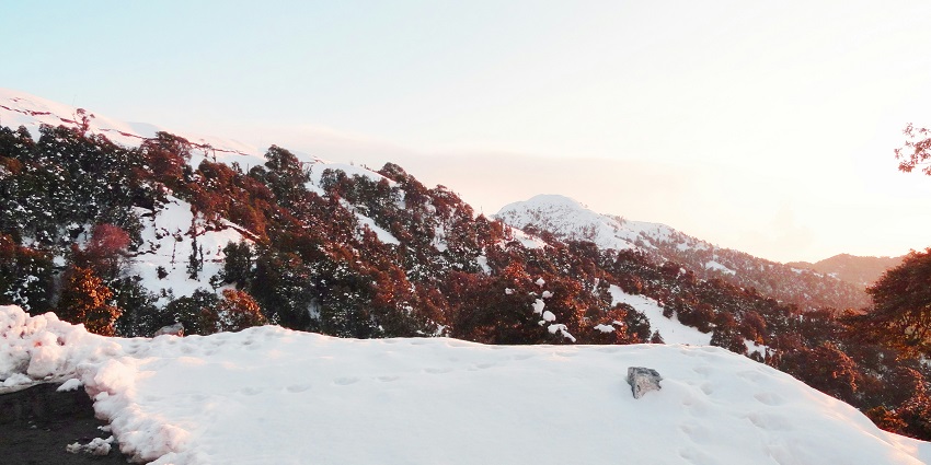 Beautiful image of the snow-laden hills surrounded by red flowers and majestic daylight