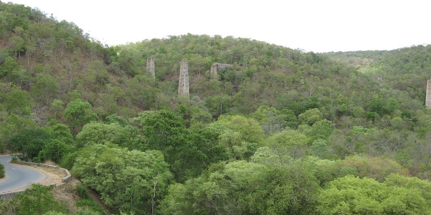 Nallamala is one of the best hill stations near Vijayawada known for its trekking trails.