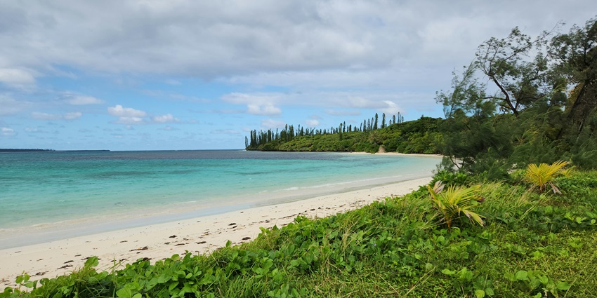 Calm waters surrounded by greenery, evoking the serene beauty of a Vietnamese coastline.
