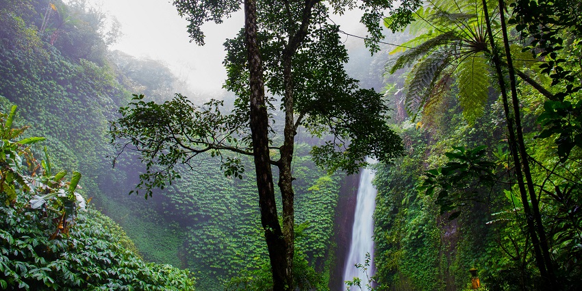 Namsai Waterfalls is one of the most breathtaking places to visit for all travellers.