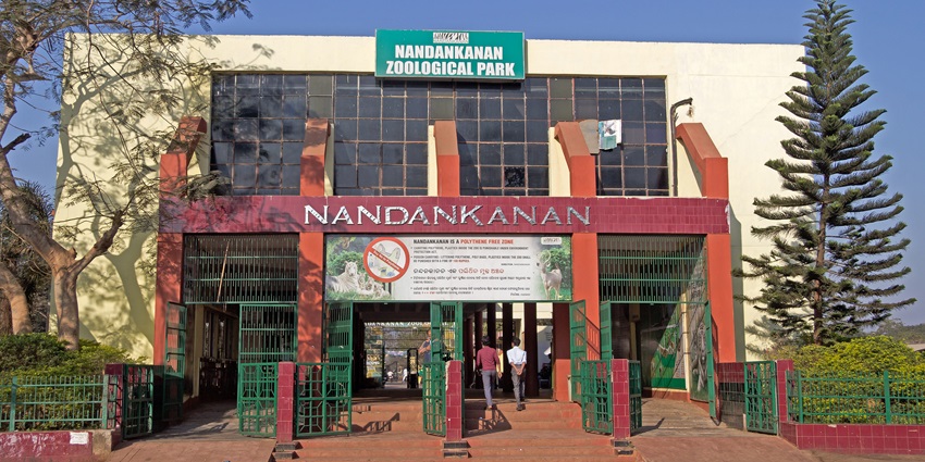 Nandankanan Zoological Park in Bhubaneswar is one of the top tourist attractions here