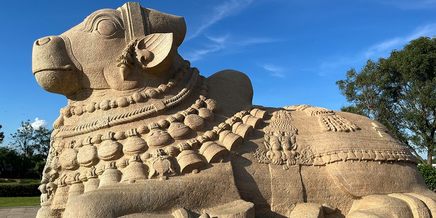 Majestic image of the Nandi Maharaj facing towards the Shivalingam in Lepakshi