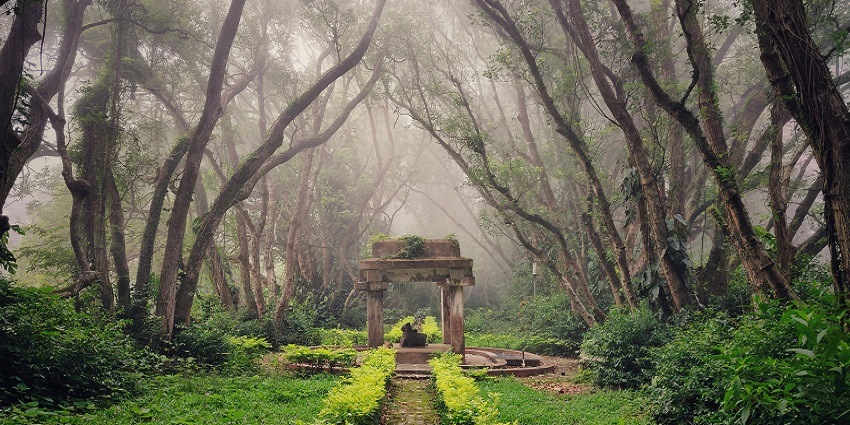 An image of the Nandi statue behind the nursery at Nandi Hills.