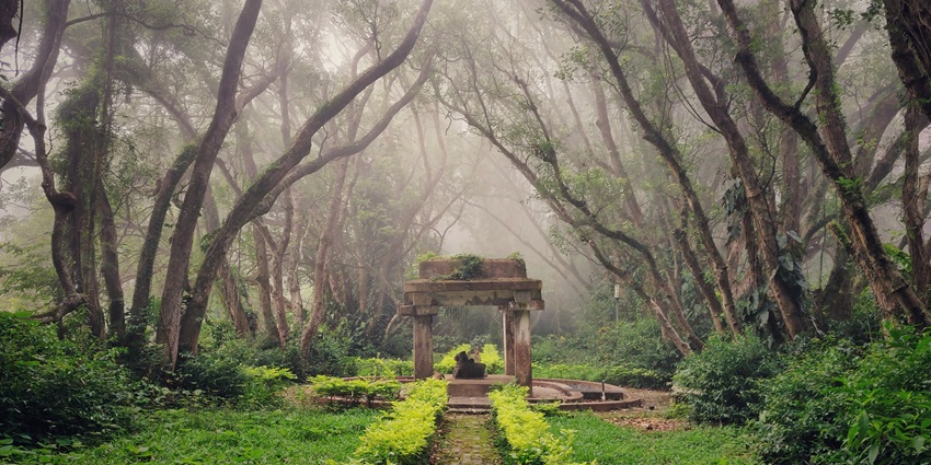 The misty mountains of the hill stations near Bangalore, Karnataka, with verdant foliage.