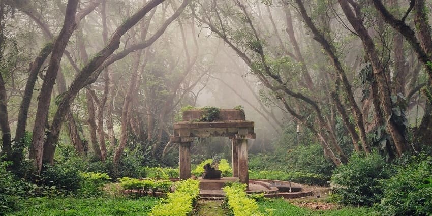 A view of Nandi Hills, a hill station near Bangalore within 70 kms, behind the nursery at Nandi Hills