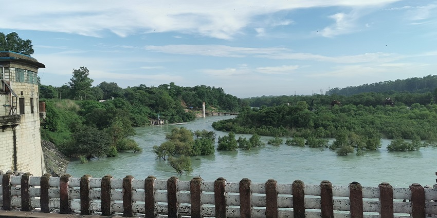 Scenic view of a River, surrounded by lush greenery under clear blue sky during day time