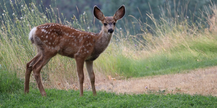 Nannaj Wildlife Sanctuary is a haven for bird lovers and wildlife, tourist attractions