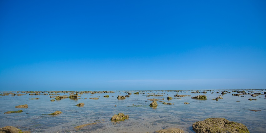 Sanspshot of the ocean when it falls back and the sea bed becomes exposed during low tide.