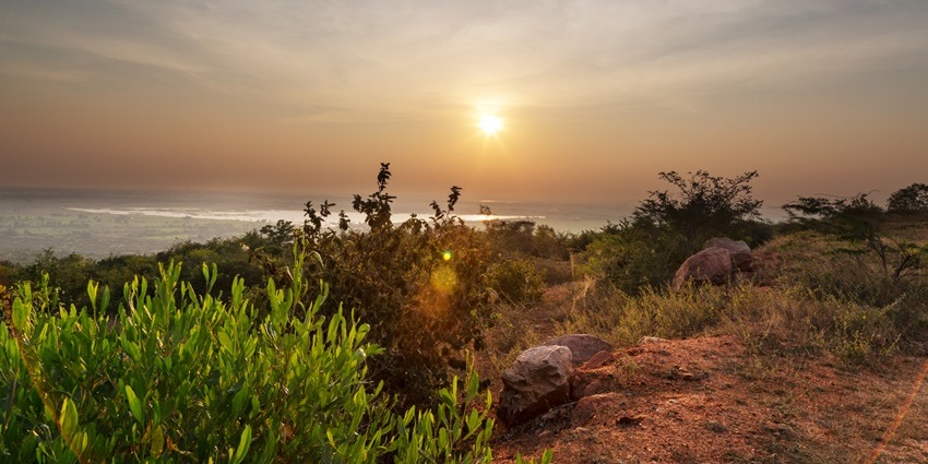 Narasimhakonda is a sacred hill, popular for an ancient temple, nestled atop the hill.