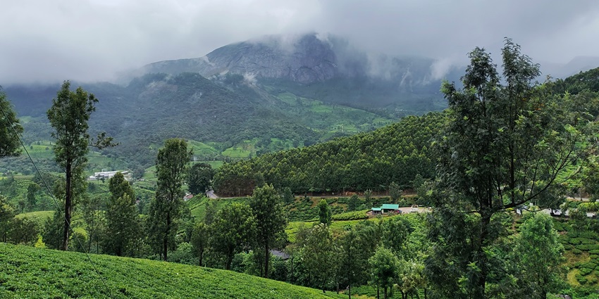 Narayan giri and Dharmagiri Hills is one of the most beautiful places to visit in Tirumala