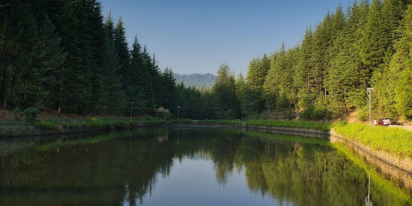 Picturesque view of Thannijubbar Lake, surrounded by lush green trees under blue sky
