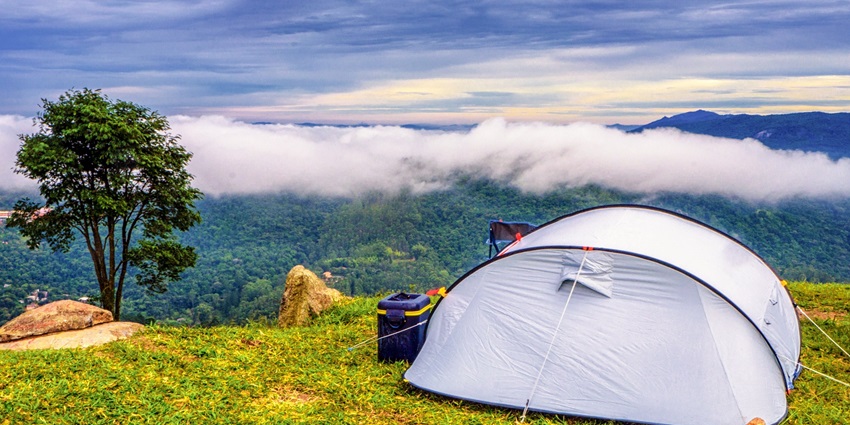 Lush greenery and misty clouds are a best combination to witness for a camper.
