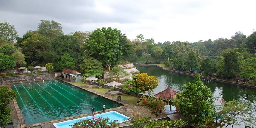 The Narmada Park features dense vegetation.