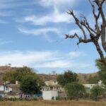 A glimpse of a village surrounded by majestic peaks and lush greenery in Rajasthan.