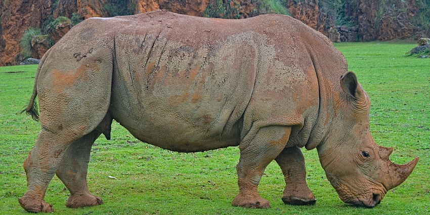 National Zoological Park is one of the best places to visit near the Purana Qila Museum.